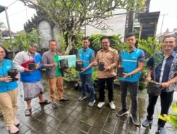 Hijaukan Lingkungan, PLN Icon Plus Dukung Gerakan 1 Juta Pohon Melalui Kegitan TJSL Pembagian Bibit Pohon