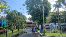 Menjaga Area Kebun, PLN Icon Plus Wujudkan Lingkungan Kerja yang Asri dan Nyaman