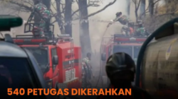 BNPB Kerahkan 540 Personel Gabungan Padamkan Kebakaran di TNBTS