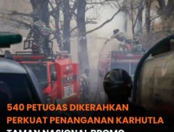 BNPB Kerahkan 540 Personel Gabungan Padamkan Kebakaran di TNBTS