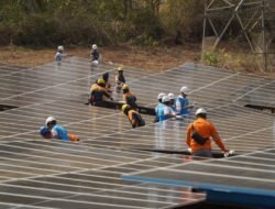 Dukung Transisi Energi Bersih, PLN Icon Plus Percepat Pembangunan PLTS di Gilimanuk