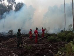 TNI Kerahkan 14.167 Personel Tangani Karhutla di Seluruh Indonesia